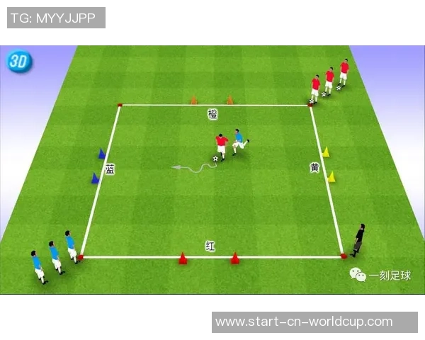 掌握足球花式过人技巧的全面教程助你成为场上明星球员